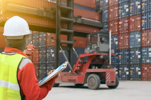 Customs Compliance & Regulatory Support